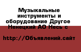 Музыкальные инструменты и оборудование Другое. Ненецкий АО,Несь с.